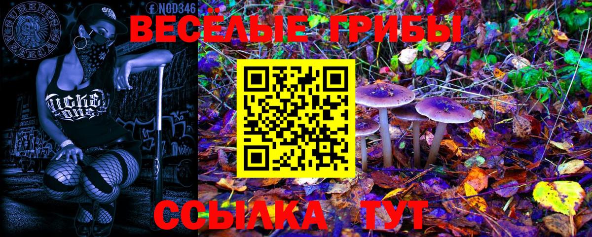 Галлюциногенные грибы GOLDEN TEACHER  Псилоцибиновые грибы ЛСД  купить наркотик  Калач-на-Дону  Вход с VPN 